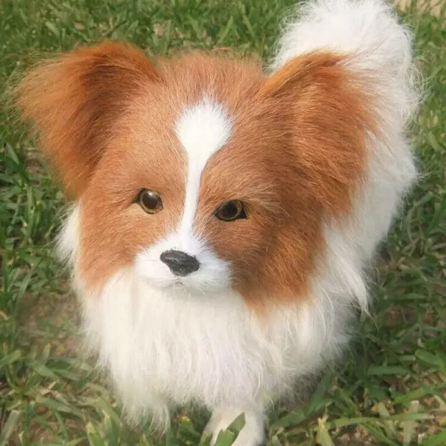 Realistic Lifelike Plush Papillon Dog Toy Large Doll Stuffed Animal Kid Gift