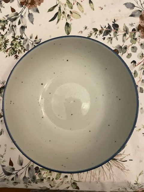 Dansk international designs ltd Cream Speckled Bowl With Blue Rim
