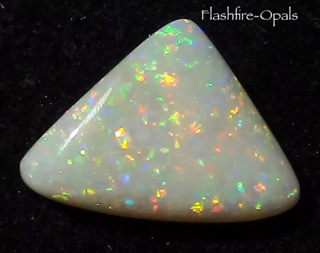 5,71ct.  GEM CLASS OLYMPIC FIELD SOLID OPAL MULTICOLOR  VIDEO  FLASHFIRE-OPALS