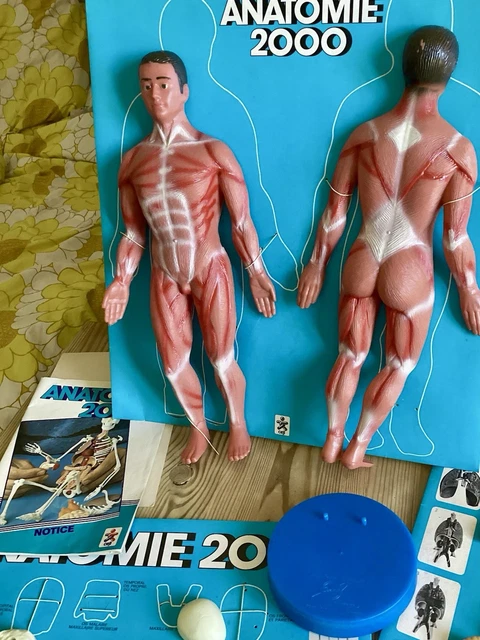 Anatomie 2000 Coffret éducatif Ceji – Apprentissage Ludique Du Corps Humain – Occasion Bon état