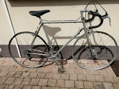 bicicletta cyrille guimard quotazioni