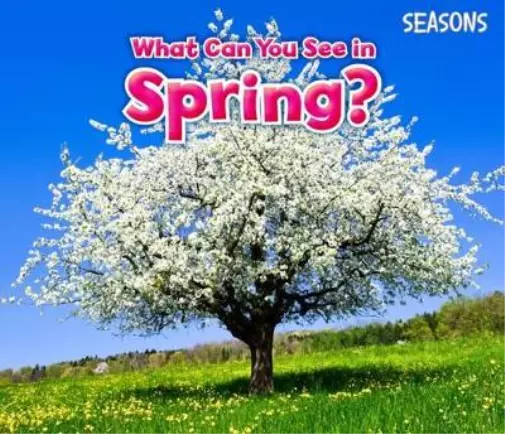 Sian Smith What Can You See In Spring? (Taschenbuch) Seasons