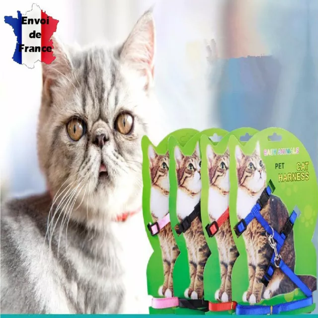 Laisse Harnais pour chat Leash Cat Harness