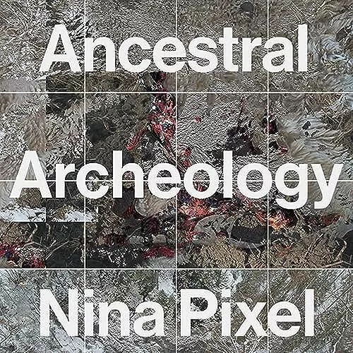 Nina Pixel Ancestral Archeology Double LP Vinyl WS022LP NEW