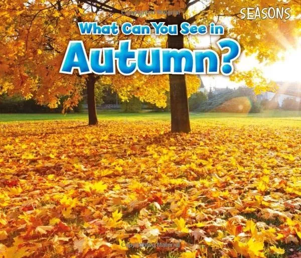 What Can You See In Autumn? (Seasons), Sian Smith