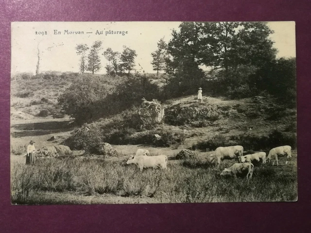 CPA 58 EN MORVAN - Au Pâturage