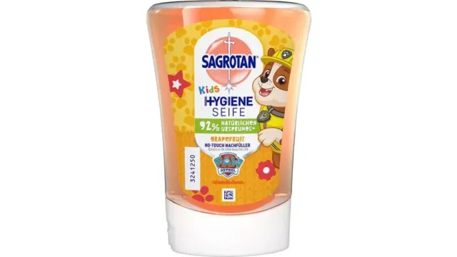 Sagrotan Kids Spaß Macher Nachfüller Handseife Flüssigseife 2 x 250ml MHD 10/25