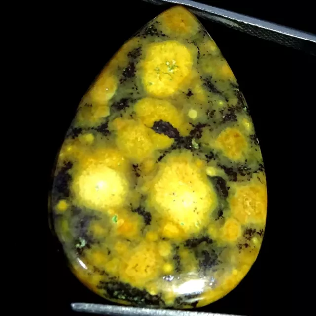 30.80 Cts Ocean Jasper Loose Gemstone Pear Cabochon Natural 23X34X4MM