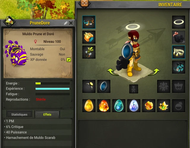 Compte DOFUS Herdegrize – Cra 200, Sram 200, Eni 196, Iop 195 – PC, MMORPG