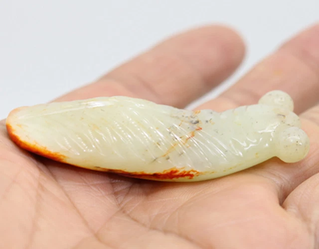 Collection hand-carved Chinese HeTian white jade cicada amulet pendant D596