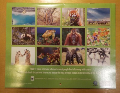 NEW 2023 WORLD Wildlife Fund Calendar - Nature Animals Tiger Elephant