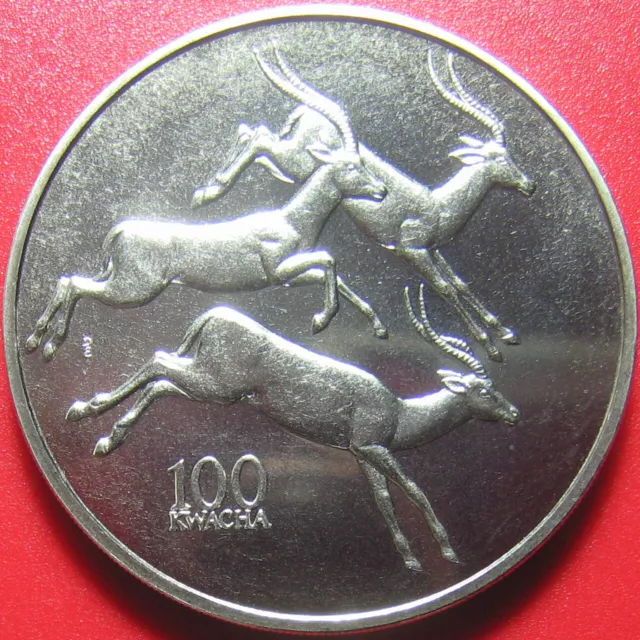 1998 ZAMBIA 100 KWACHA ANTELOPE AFRICAN WILDLIFE RARE! CU-NI 38.6mm (no silver)