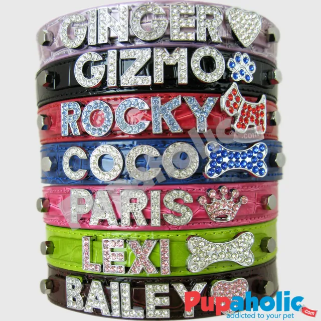 Croc Dog Cat Pet Personalized Collar - XS, S, M, L, XL