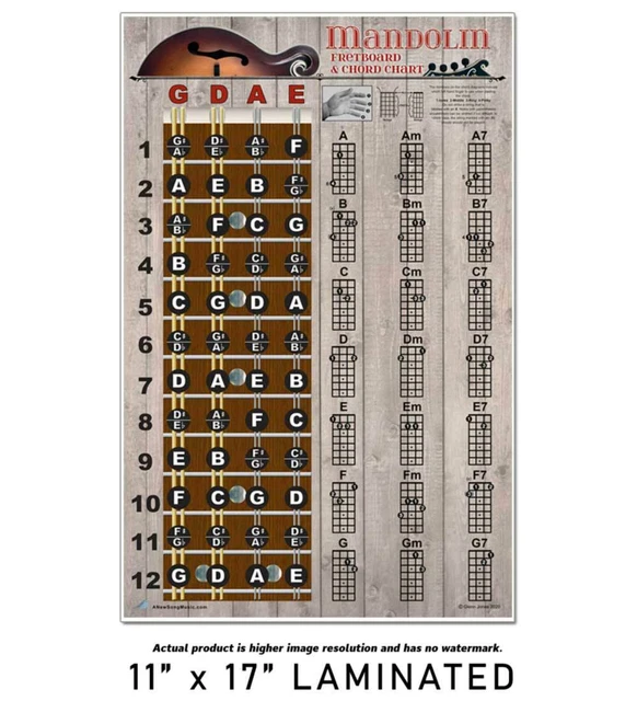 LAMINATED MANDOLIN EASY Chords Fretboard Wall Chart Poster Beginner ...
