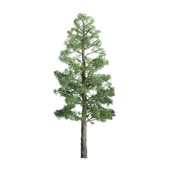 Jtt Scenery 94289 Professional Series 1" Pine Tree Z-Scale 6/Pk  Jtt94289