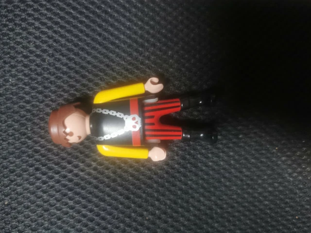 playmobil 3860,3029,3947,4432,5737,4067,5775,5826,5238  2000 klicky(253)