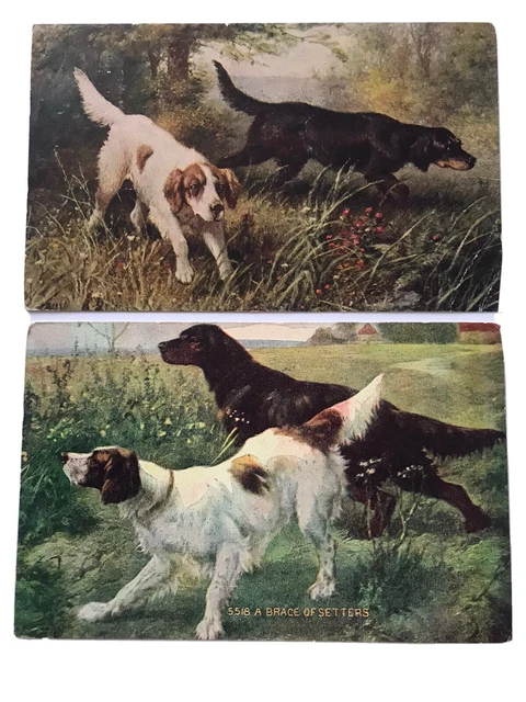 GORDON SETTER & RED & WHITE SETTER Working Dog Art Picture Postcards x 2 1907