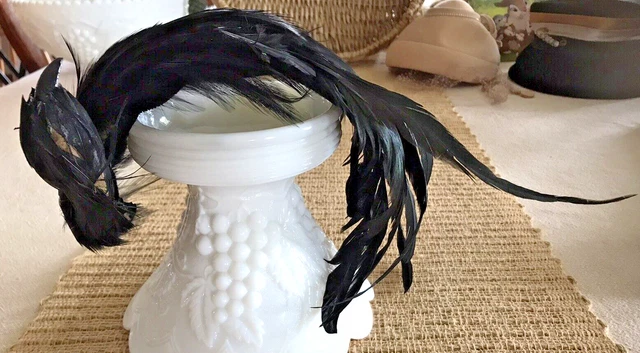 Feathered Headband Black Swan Fascinator Bird Head Fashion Hat, Need Repairs Vtg