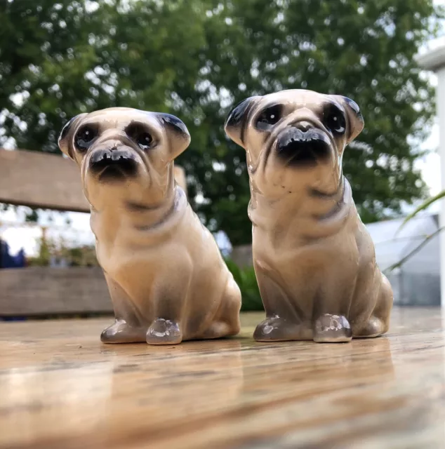 Pug Dogs Salt & Pepper Cruet Set Shakers Pots Pets Pugs Cute