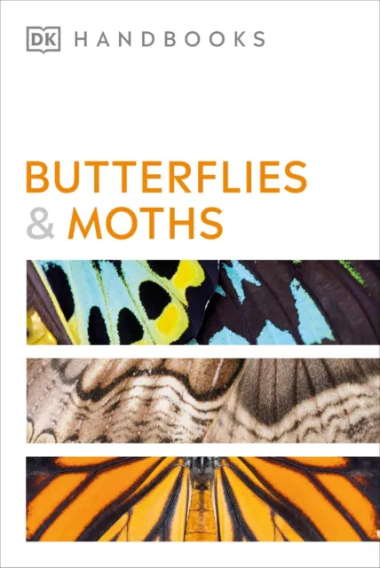 David Carter | Butterflies and Moths | Taschenbuch | Englisch (2023)