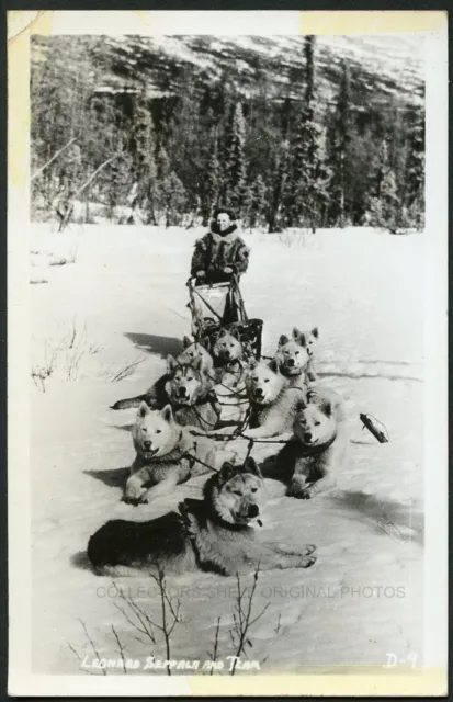 EDWARD SEPPALA + DOG SLED RACING TEAM - ALASKA c1940 RPPC RP Photo Postcard