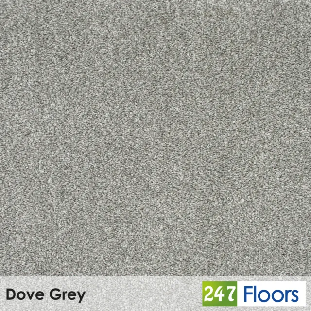 Dove Grey Soft Saxony Carpet 12mm Thick Stain Resistant Durable Action Back