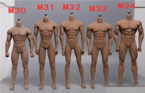TBLEAGUE 1/6 PHICEN Male Body Figure Seamless Doll Model M30 M31