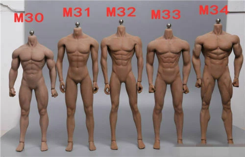 TBLEAGUE 1/6 PHICEN Male Body Figure Seamless Doll Model M30 M31