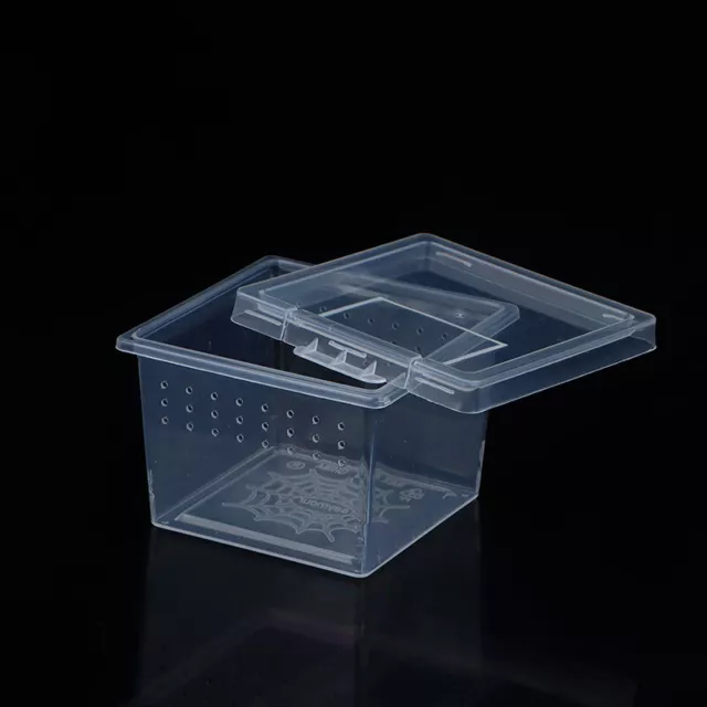 1Pc Square Transparent Plastic Reptile Insect Spider Breeding Box Container
