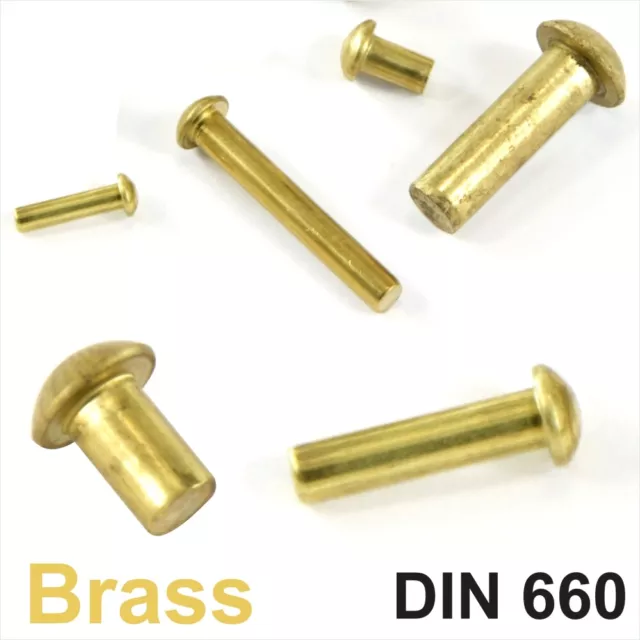 Solid Brass Round Head Rivets DIN 660 Dia 2mm 3mm 4mm 5mm 6mm Dome Pan Head RIV