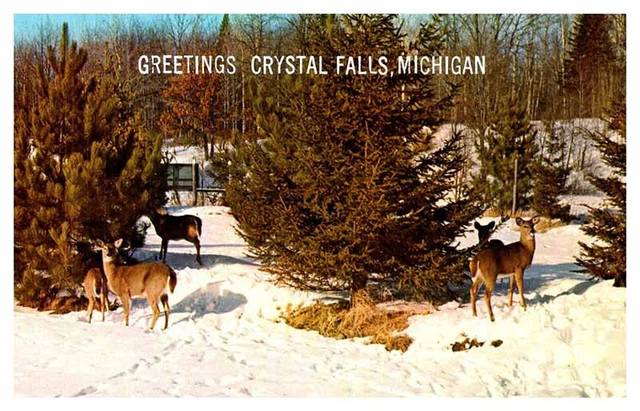 Postcard ANIMAL SCENE Crystal Falls Michigan MI AS5270