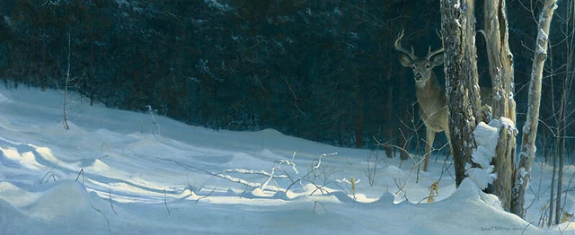 Robert Bateman Whitetail in Winter