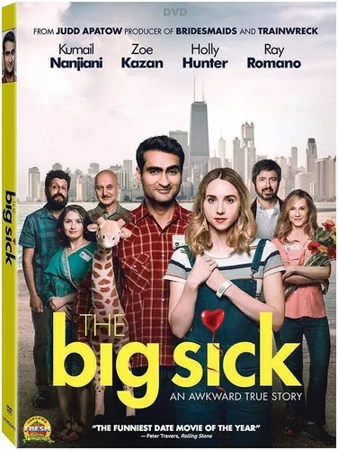 The Big Sick (DVD, 2017)