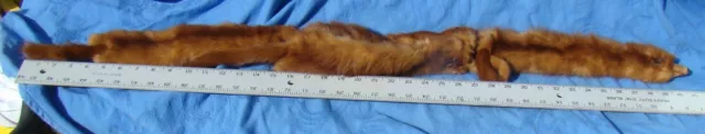 Vintage Genuine 4-Pelt Red Fox Fur Neck Wrap Stole