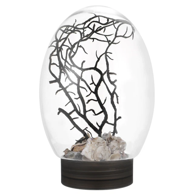 Aquarium Bowl Feed Glass Terrariums Plants Small Terrarium Desktop Fish Tank