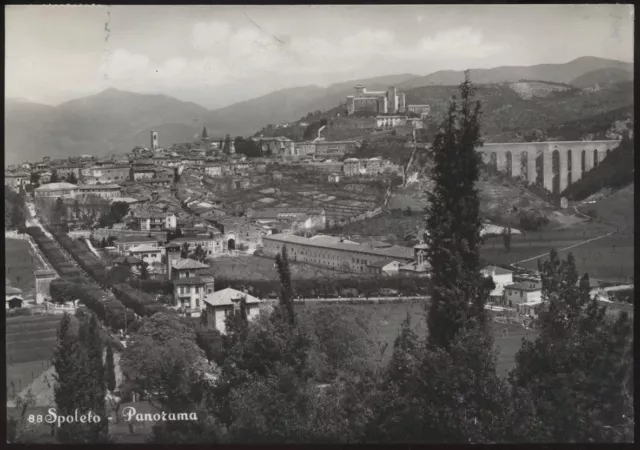 cartolina SPOLETO panorama