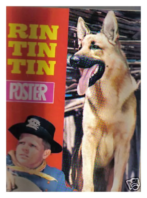 Rintintin Poster  N° 10  De 1979 Be