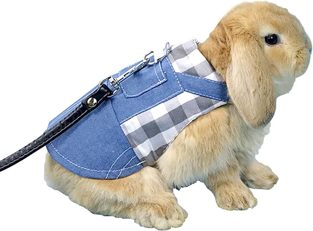 Adorable Juego de Arnés y Correa para Conejo, Ajustable Moda Transpirable Arnés de Denim
