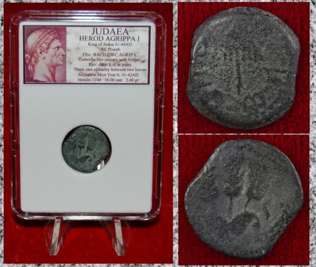 Ancient Coin JUDAEA Prutah HEROD AGRIPPA I Jerusalem Mint Appointed By Caligula