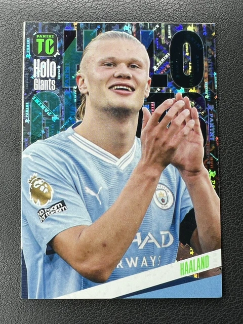 Veselý drak | Futbalové karty Panini Top Class 2024 - Starter Set Veselý drak | Futbalové karty Panini Top Class 2024 - Starter Set
