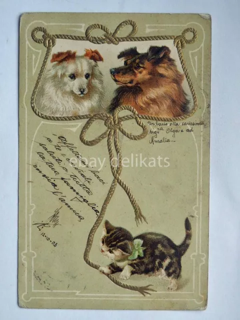 GATTO CAT CANE DOG AK old postcard vecchia cartolina