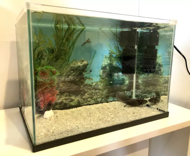 20L Fish tank Starter Pack Aquarium Nano Tank