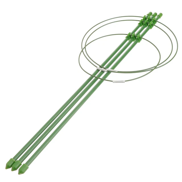 Gabbia per poodori – Graticcio per fagioli da giardino | Supporto per
