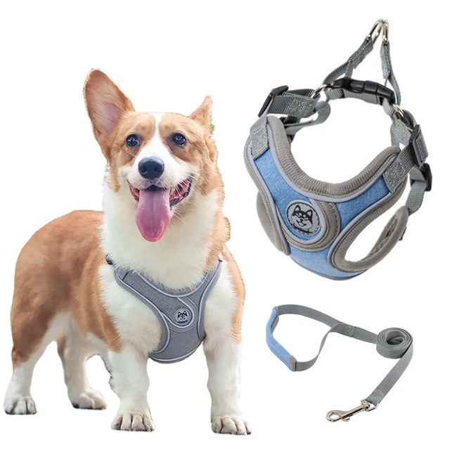 Puppy Small Dog Harness Outdoor Walking Lead Set Pets Breathable Reflective Vest