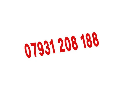 Numero Di Cellulare Vip Golden Easy Memorable Uk/Sim Platino (Rete Ee) B 66 2