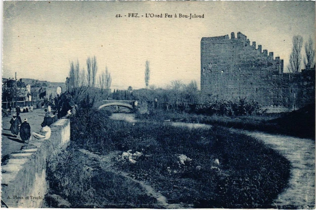 CPA AK MAROC FEZ - L'Oued FEZ a BOU-Jeloud (93002)