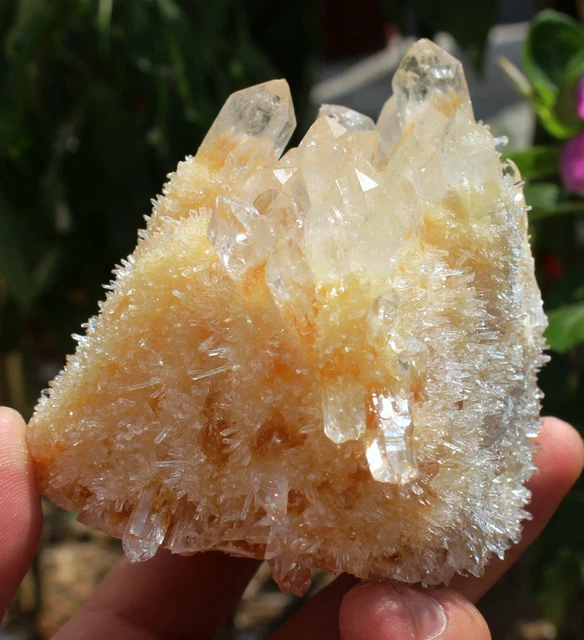 520g AAA+++ New Find Yellow Phantom Quartz Crystal Cluster Mineral Specimen