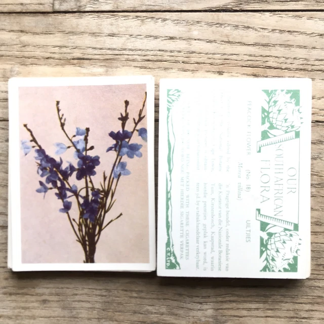 our south african flora cigarette cards OUR SOUTH AFRICAN Flora, N Reeks Cigarette Cards, Collection Of 43 Cards  £1.16