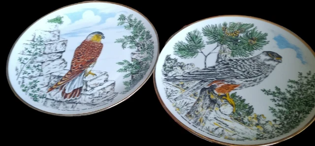 2 Winterling Schwarzenbach Bird PlateBavaria Germany Turmfalke 85~Baumfalke84