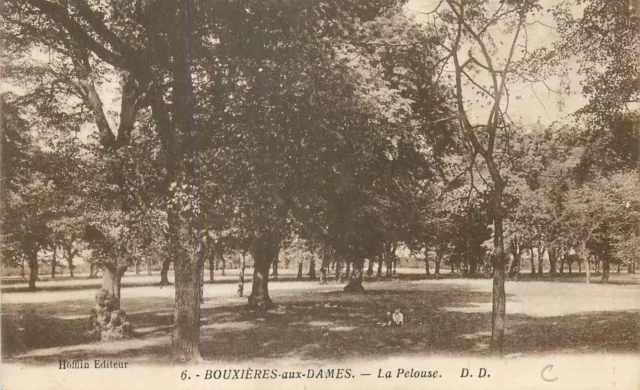 54 BOUXIERES AUX DAMES la pelouse